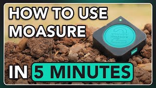 How To Use Moasure In 5 Minutes
