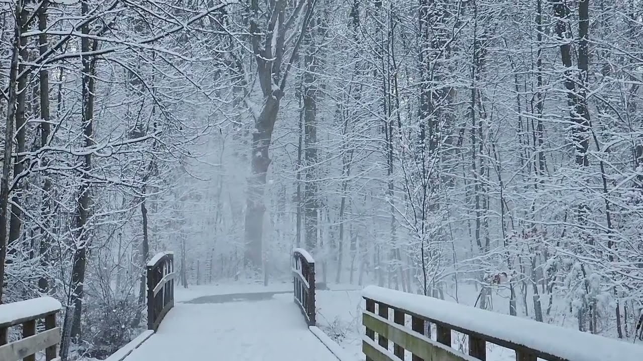 My enchanted walk snow 