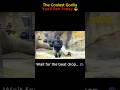 This Gorilla Has Better Moves Than Me 😂#DancingGorilla#FunnyAnimals#ZooMoments#Shorts#ViralVideo