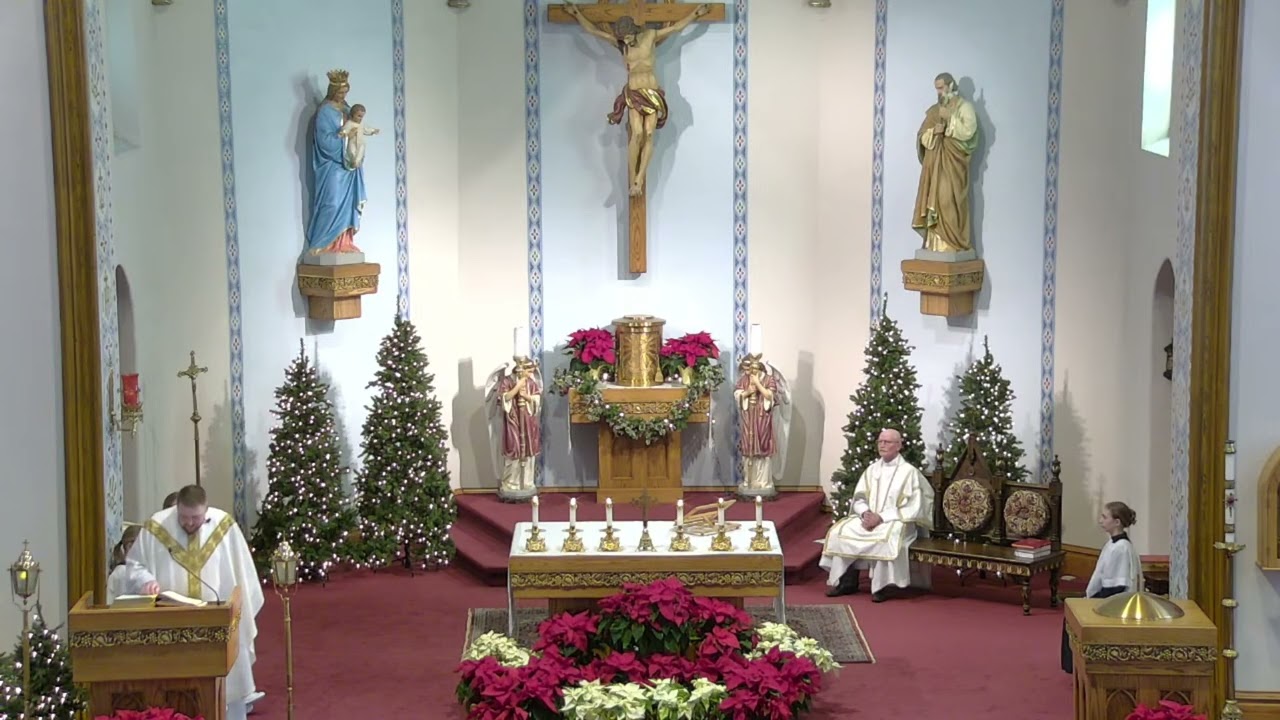 Homily ~ January 11th 