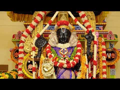 அத்தி-வரதர்-|-athi-varadar-|-kancheepuram-|-lord-varadar-|-varada-narayanan-|-sujatha-vijayaraghavan