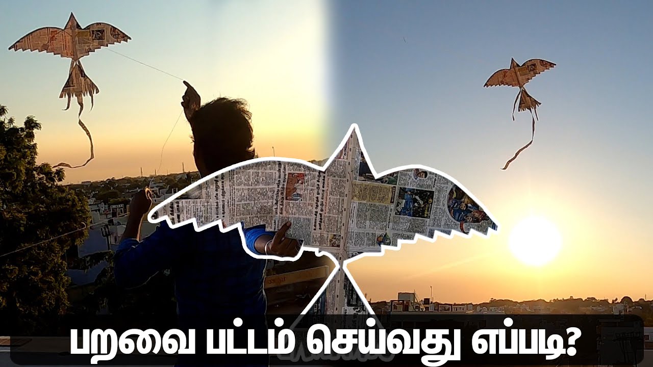How to Make Bird Kite At Home Newspaper Kite Flying Tutorial Mano's