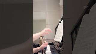 Chopin: Cello Sonata in G Minor, Op.65 IV.Finale. Allegro (Piano Accompaniment) #cellosonata #chopin