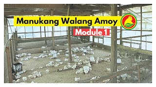 MODULE 1: Manukang Walang Amoy at Iwas Langaw gamit ang Proavian Feeds