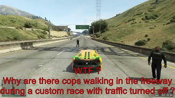 WTF ?  Cops Walking in Freeway during race !  GTA 5