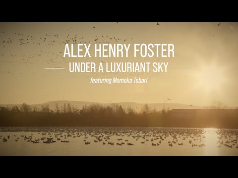 Alex Henry Foster - Under a Luxuriant Sky [Official Lyric Video]