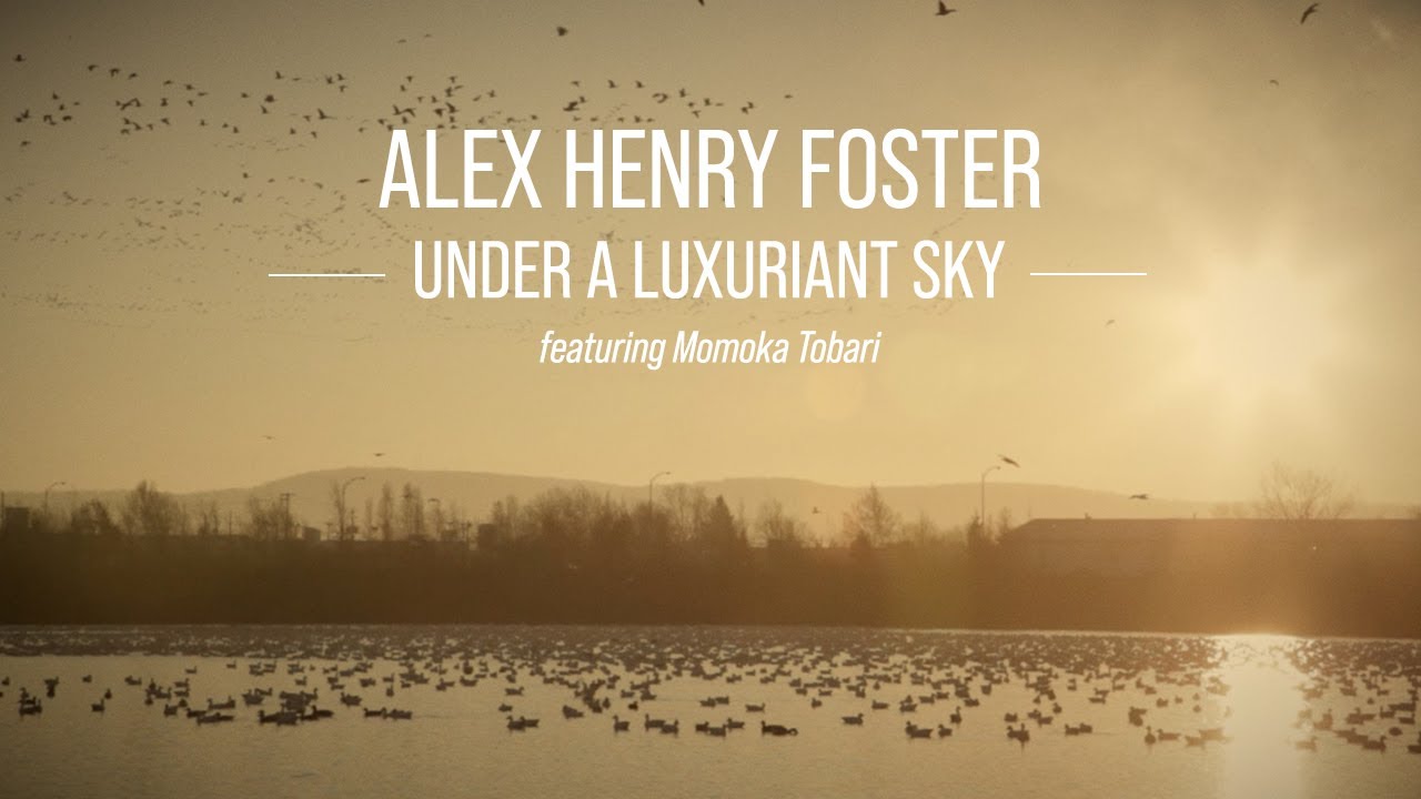 Alex Henry Foster - Under a Luxuriant Sky [Official Lyric Video]
