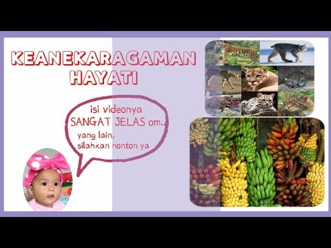 Video: Apa yang dimaksud keanekaragaman hayati dengan Readworks?