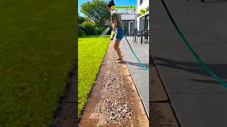 ❓ MAKEOVER Lawn to Flower Garden? Yes, Blooming MAGIC! 🌸✨ #shorts #fun