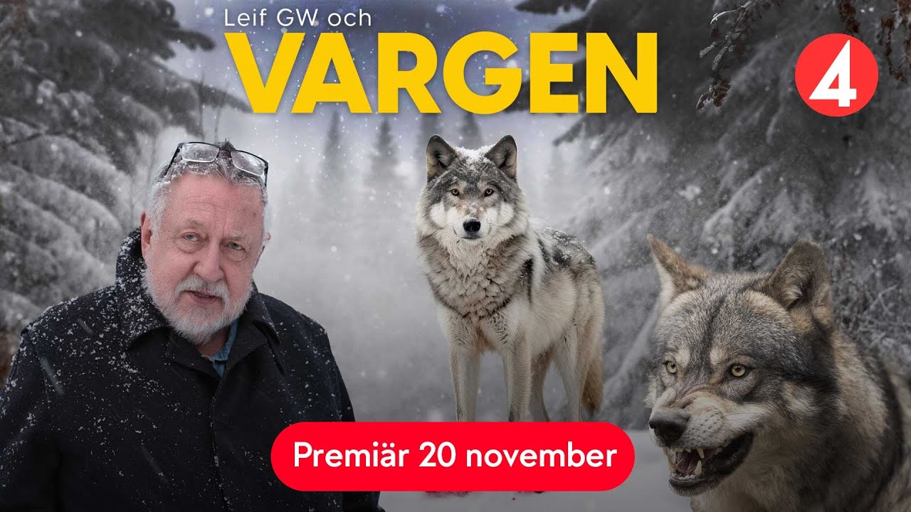 Leif GW och vargen | Trailer | Premiär 20 november | TV4 Play