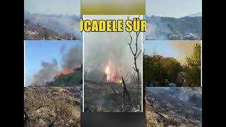 Alllah Yardimcilari Olsun Inlar