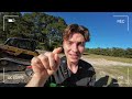 Beginning of video
