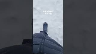 Ahaha bu da işin esprisi olsun #elazığ #kar #trend