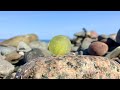~A Yellow Sunshine Sea Marble Find! Clip #5 From My &quot;Cape Breton Sea Glass At It&#39;s Best&quot; Video