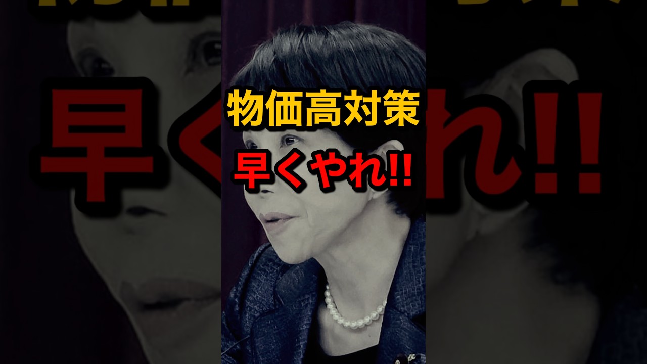 物価高対策を早くやれー!! #高市早苗内閣総理大臣 #補正予算 #編成 #物価高対策 #補助金 #ガソリン価格 #減税