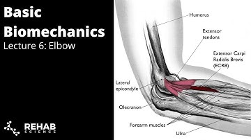 Biomechanics Lecture 6: Elbow