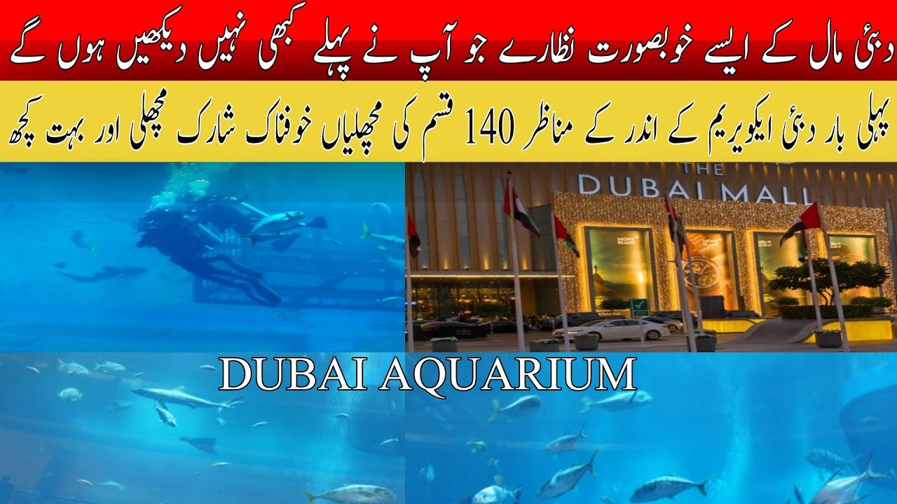 I Visit Dubai Mall Aquarium!!More then 400 sharks And Other Species 