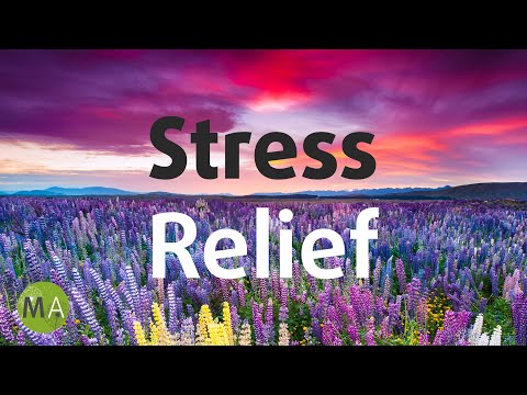 Calm Your Mind Quickly With Stress Relief Isochronic Tones  Calm Your Mind Quickly With Stress Relief Isochronic Tones