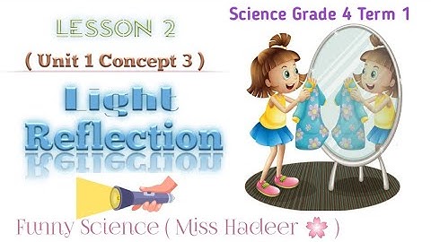 Science, Grade 4, Unit 1, Concept 3, Lesson 2 ( Light Reflection 🔦) ساينس رابعة ابتدائى ٢٠٢٤🌸