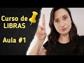 Imagem do Curso gratuito Libras básico por Canal Drika Acessível