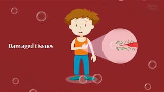 Quinoderm | With Power of 5