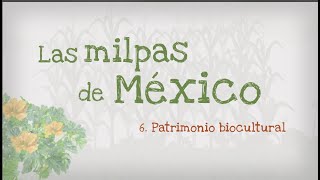 6.- Las milpas de México, patrimonio biocultural