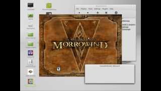 How to install a Window's based game using PlayOnLinux via CD