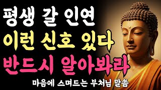 평생 갈 인연, 이런 신호가 있습니다ㅣ부처님 말씀ㅣ불교 명언ㅣ석가모니 가르침