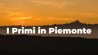 I Primi in Piemonte - Documentario sulla Preistoria - versione breve