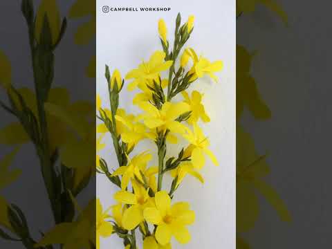 learn-to-make-winter-jasmine-with-crepe-paper-|-串串金-#shorts-#paperflower