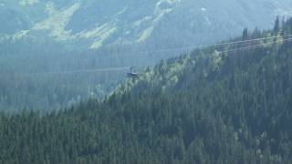 Owieczki - Gdzie One Są ?