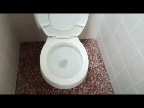 Salon Women S Restroom Full Shoot