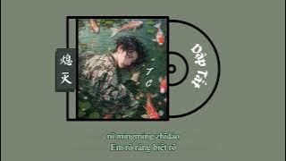 [Vietsub Pinyin] Dập tắt (熄灭) - TC