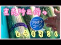 とうもろこしの直売所出荷の様子！【袋の入れ方と価格】
