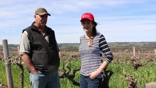 Virtual Winemaker Video - Virgin Wines