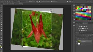 Grid overlays screenshot 2