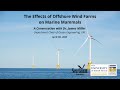 Ask the Experts: The Effects of Offshore Wind on Marine Mammals