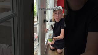 This peppermint oil bug spray repels ants, roaches and spiders