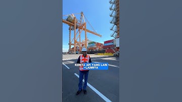 Terminal Petikemas Terbesar di Indonesia Timur! #terminalpetikemas #pelindo #pelabuhantanjungperak