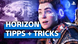 Survival Tricks und Spielspaß Tipps | Horizon Forbidden West