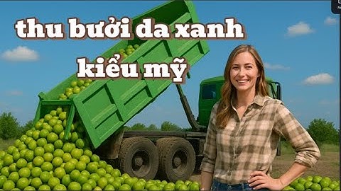 Thu hoạch bưởi da xanh – Kỹ thuật bảo quản bưởi sau thu hoạch đúng chuẩn