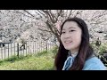 Let's go to sakura festival part2 #sakura #tokyo