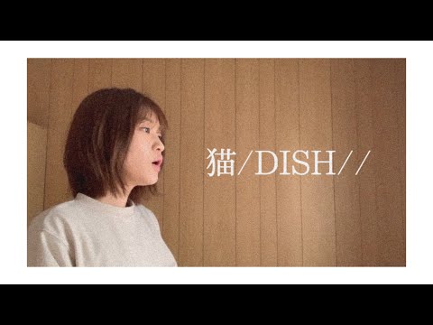 《女性が原曲キーで歌う》猫/DISH// cover
