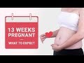 13 Weeks Pregnant  - What to Expect?