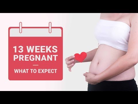 वीडियो: 13 सप्ताह गर्भवती - क्या उम्मीद करनी है