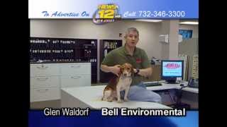 Roscoe the Bed Bug Dog & Bell Environmental for News12