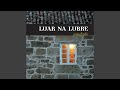Miniature de la vidéo de la chanson Galego Guajiro