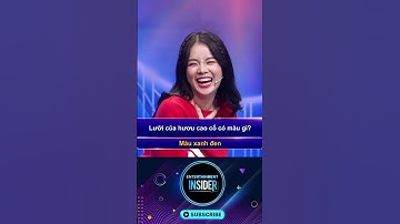 Trí Lực Sánh Đôi | Pew Pew trả lời đúng nhưng lại gây tranh cãi với câu hỏi này #tlsd