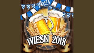 Irgendwann, Irgendwo, Irgendwie - Seh'n wir uns wieder