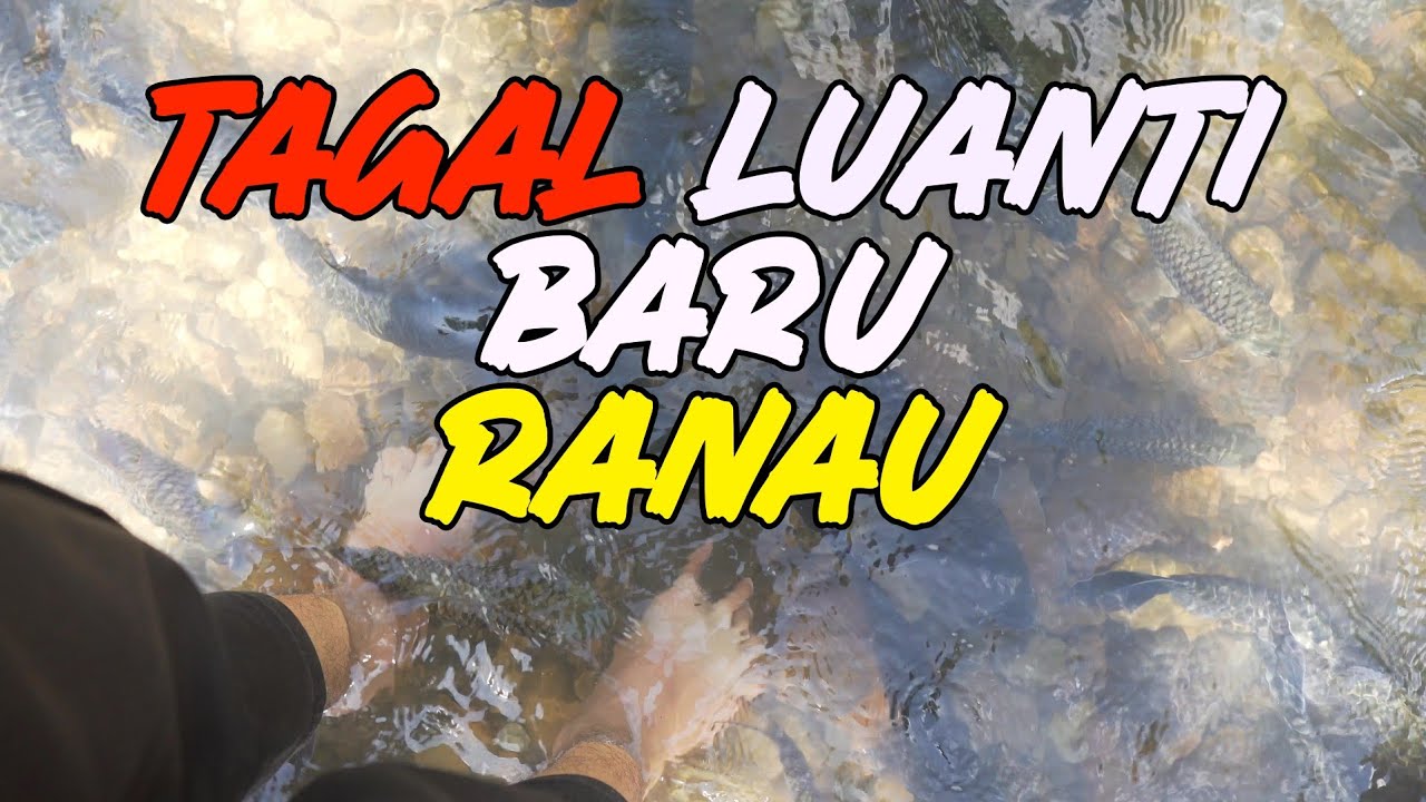Ikan Urut Kaki? di TAGAL LUANTI BARU, Ranau, Sabah - YouTube